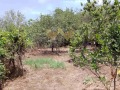 Продава ПАРЦЕЛ, гр. Варна, м-т Планова, снимка 3