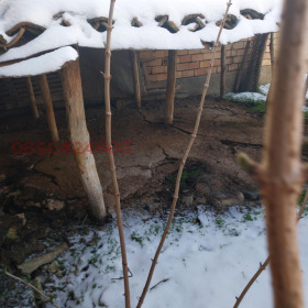 ������� ���� | Imot.bg � ����� ������ 6