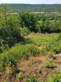 Продава ПАРЦЕЛ, с. Саласука, област Габрово, снимка 2