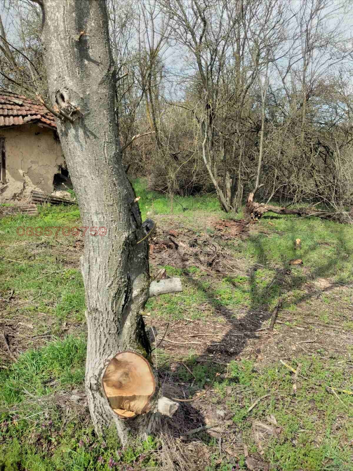 ������� ������ | Imot.bg � ����������� 9