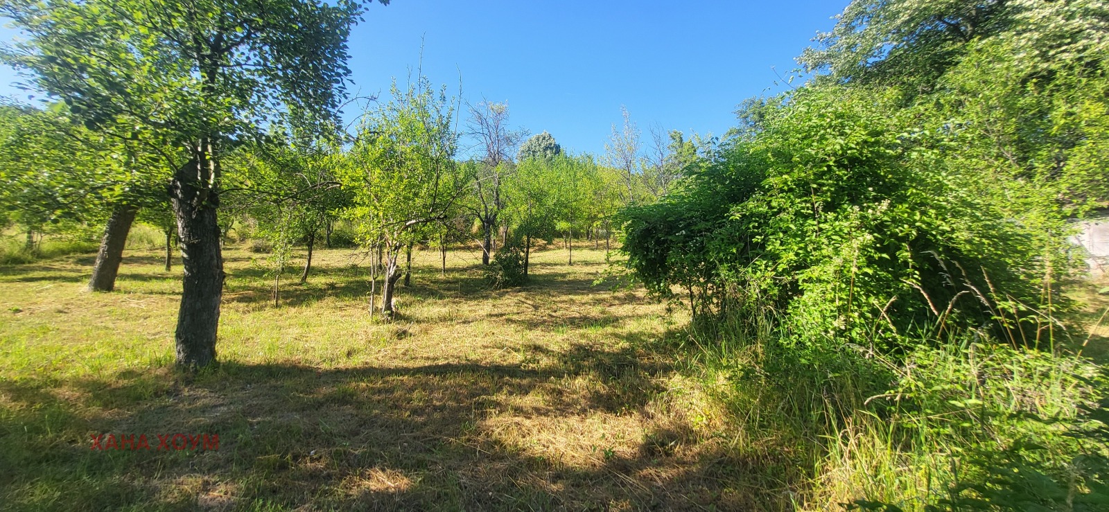 ������� ������ | Imot.bg � ����������� 6