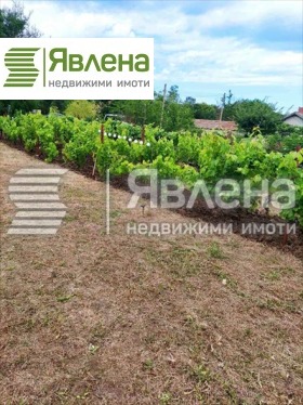   | Imot.bg    5