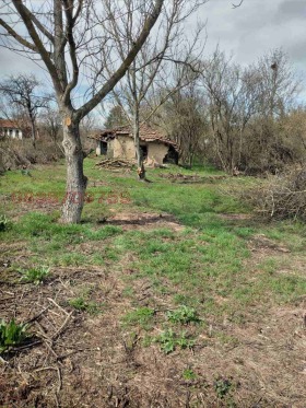 ������� ������ | Imot.bg � ����� ������ 8