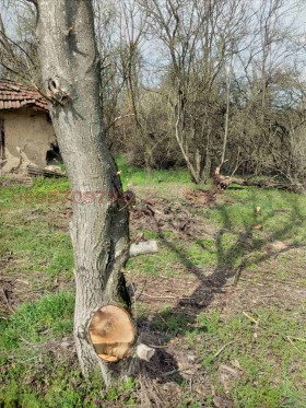 ������� ������ | Imot.bg � ����� ������ 9