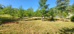 ������� ������ | Imot.bg � ����� ������ 5