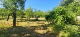 ������� ������ | Imot.bg � ����� ������ 6