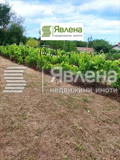 Satılık  Ev bölge Dobriç , Şabla , 101 metrekare | 26347331 - görüntü [5]