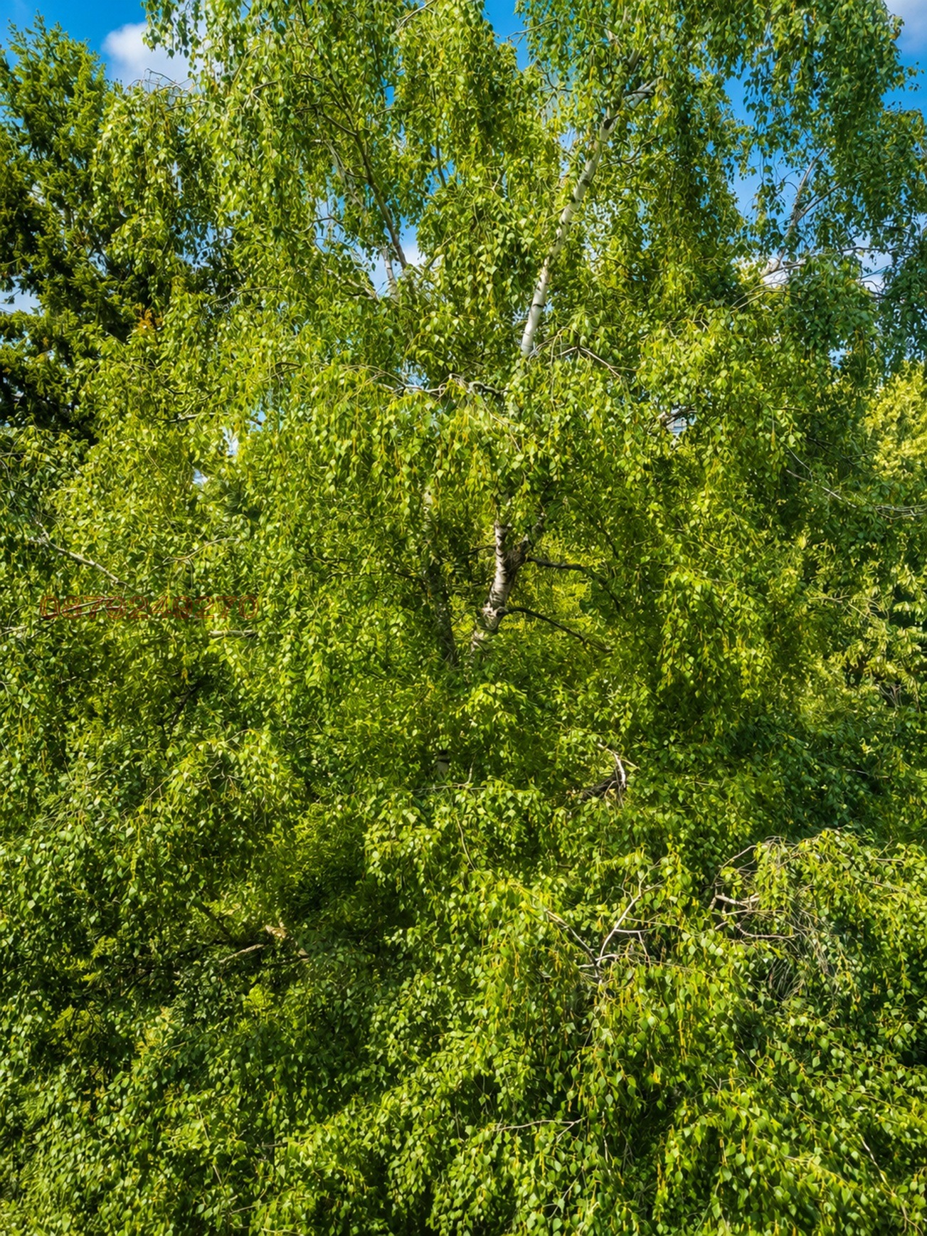 Продава 2-СТАЕН, гр. София, Борово, снимка 9 - Апартаменти - 55261673