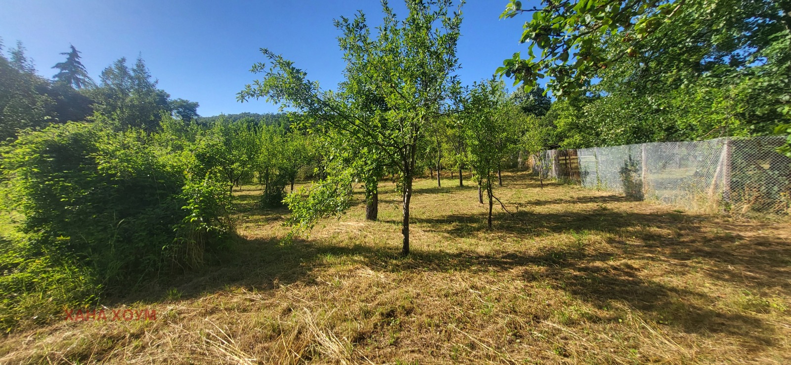 Продава ПАРЦЕЛ, с. Белиш, област Ловеч, снимка 6 - Парцели - 54163989