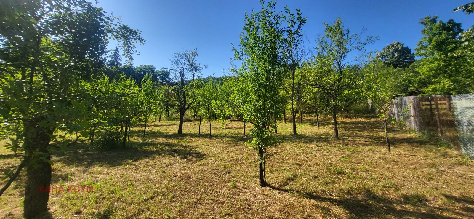 Продава ПАРЦЕЛ, с. Белиш, област Ловеч, снимка 2 - Парцели - 54163989