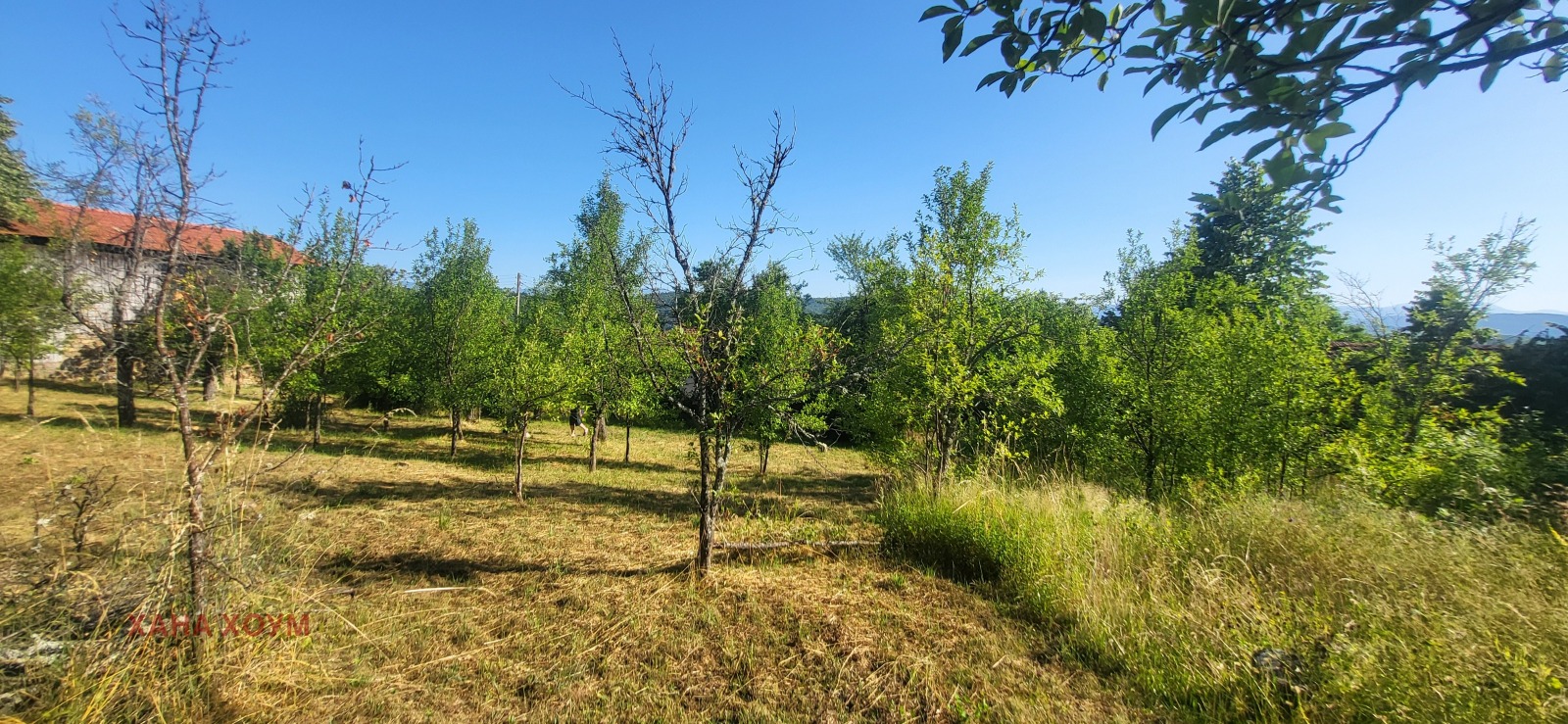 Продава ПАРЦЕЛ, с. Белиш, област Ловеч, снимка 3 - Парцели - 54163989