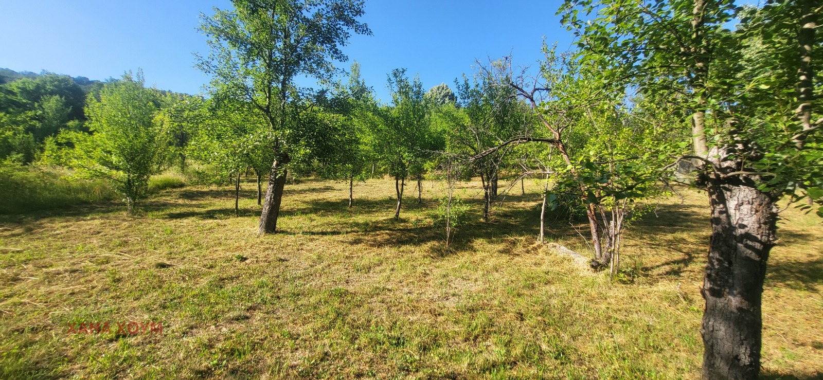 Продава ПАРЦЕЛ, с. Белиш, област Ловеч, снимка 8 - Парцели - 54163989