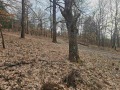 Продава ВИЛА, с. Царичина, област София област, снимка 10