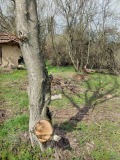 Продава ПАРЦЕЛ, с. Бръшлен, област Русе, снимка 9