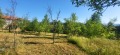 Продава ПАРЦЕЛ, с. Белиш, област Ловеч, снимка 3