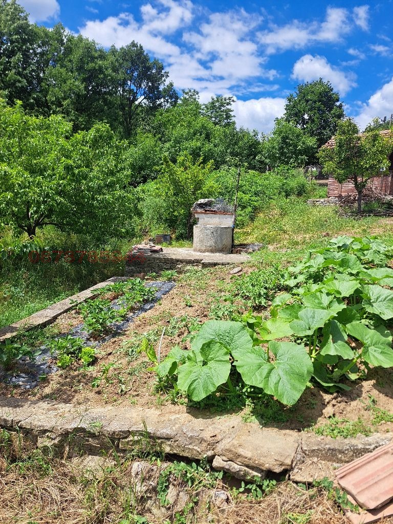 ������� ���� | Imot.bg � ����������� 6