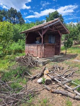 ������� ���� | Imot.bg � ����� ������ 3