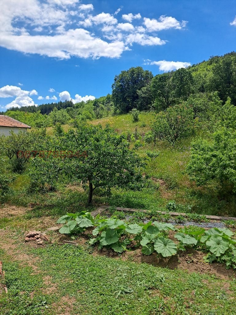 Продава ВИЛА, гр. Кърджали, Гледка, снимка 9 - Вили - 55152727