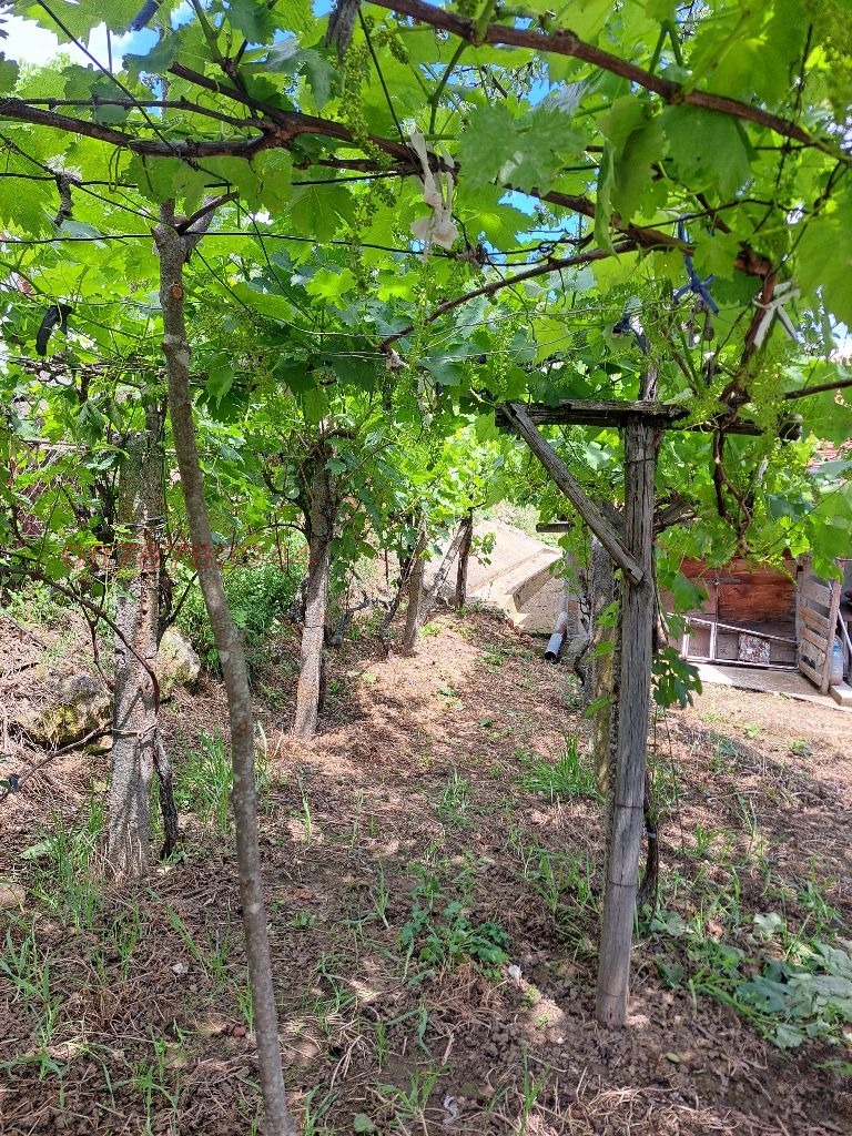 Продава ВИЛА, гр. Кърджали, Гледка, снимка 4 - Вили - 55152727