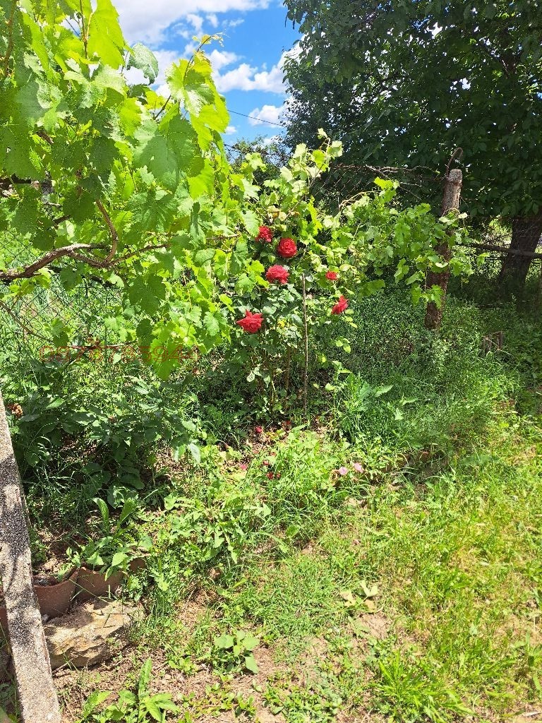 Продава ВИЛА, гр. Кърджали, Гледка, снимка 11 - Вили - 55152727