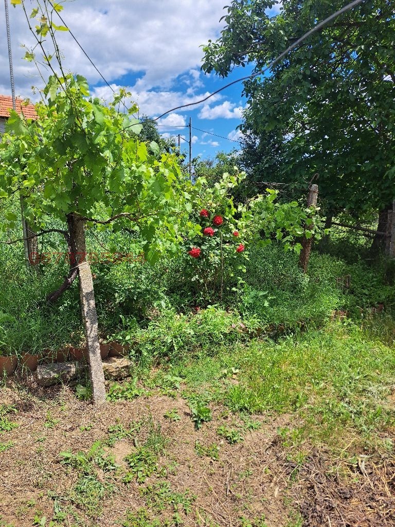 Продава ВИЛА, гр. Кърджали, Гледка, снимка 12 - Вили - 55152727