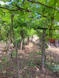 Продава  Вила град Кърджали , Гледка , 40 кв.м | 74948232 - изображение [4]
