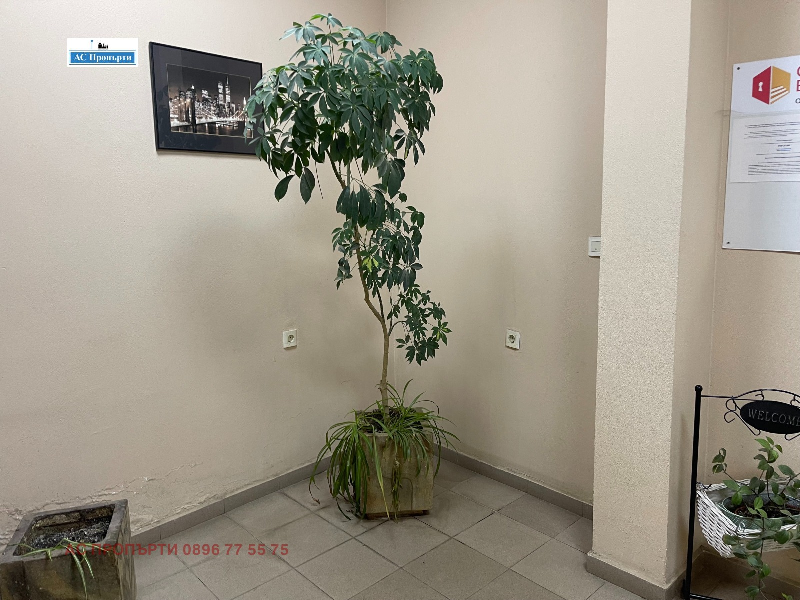 ������� 3-����� | Imot.bg � ����������� 10