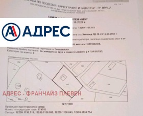 ����� ������� ������,���� �����, ���������� ����