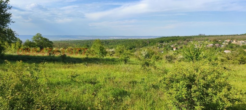 Продава ПАРЦЕЛ, с. Бенковски, област Варна, снимка 4 - Парцели - 53036698