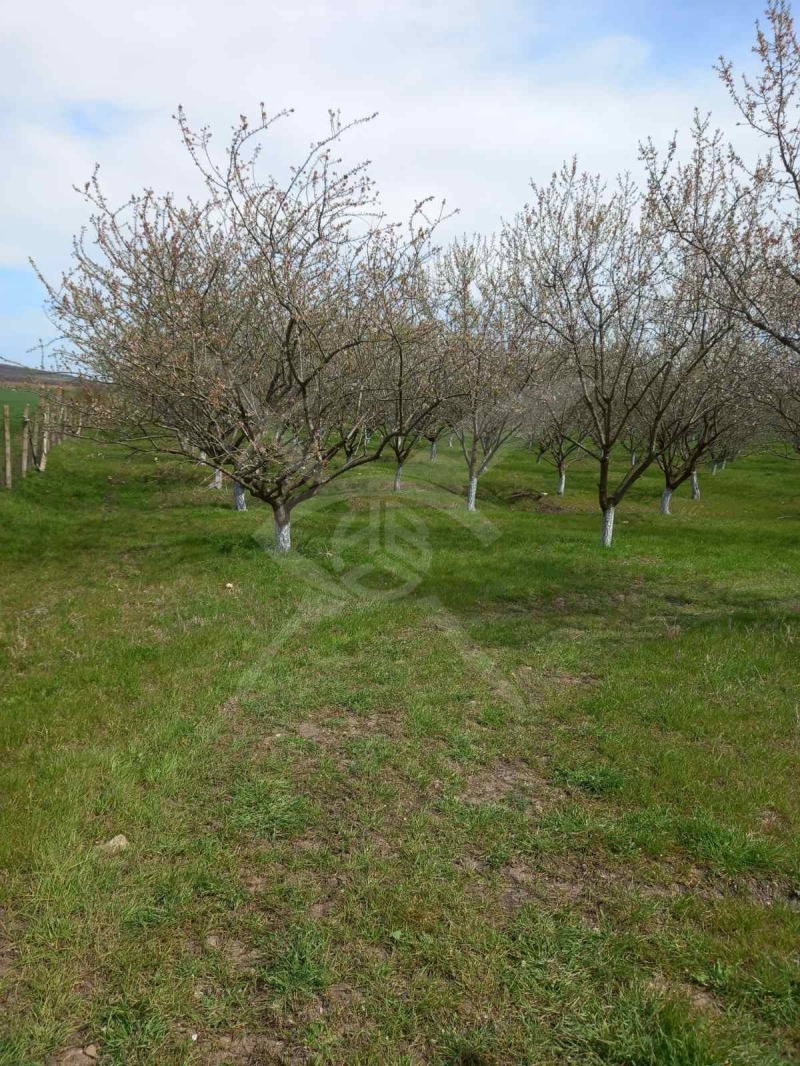 Продава ПАРЦЕЛ, област Бургас, с. Зимен • 32000 € / 62586.56 лв. • 88124797 1