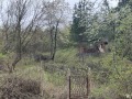 Продава ПАРЦЕЛ, с. Мала Раковица, област София област, снимка 1