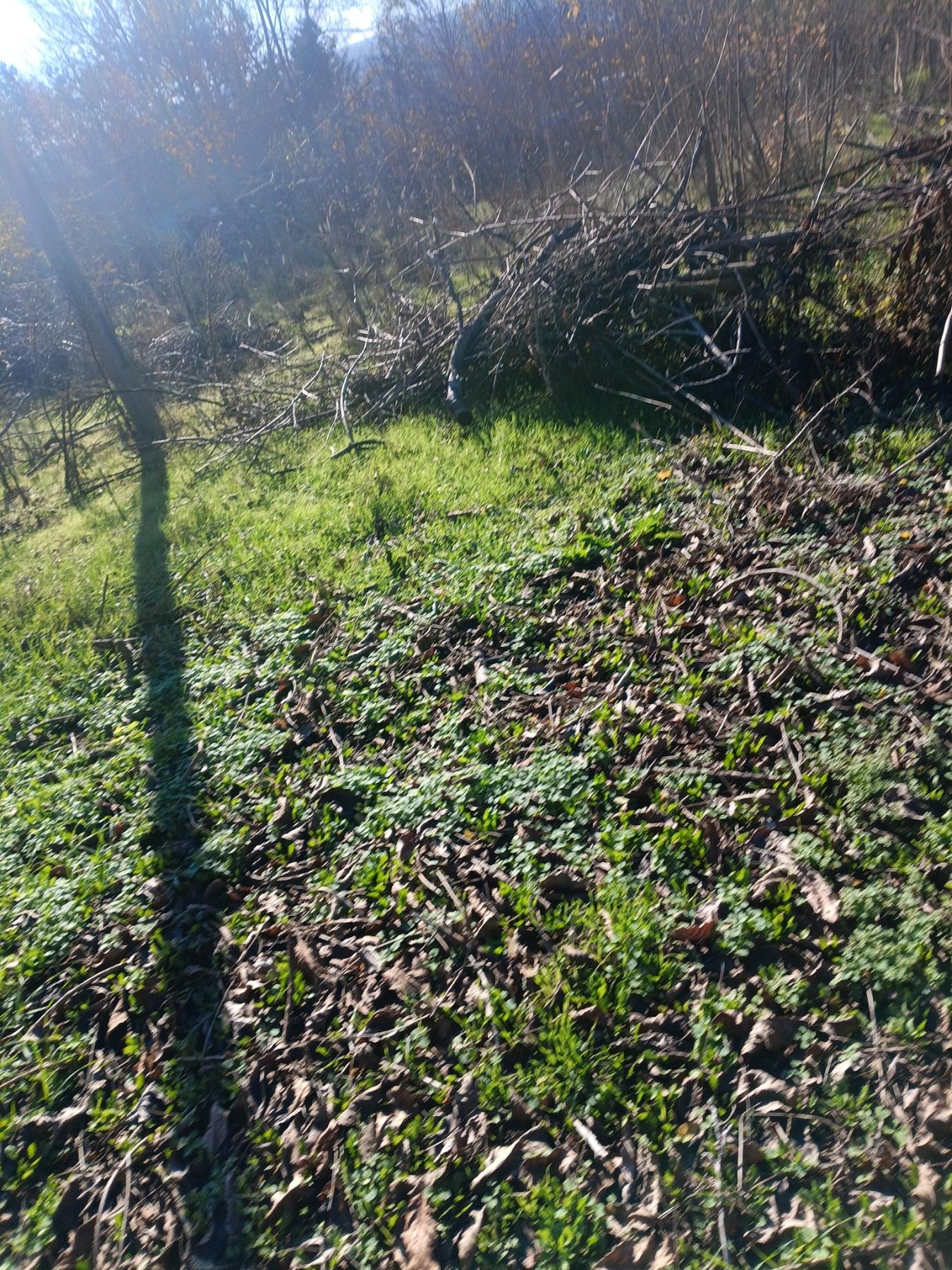 ������� ������ | Imot.bg � ����������� 1