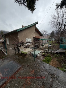 ������ ������� ����