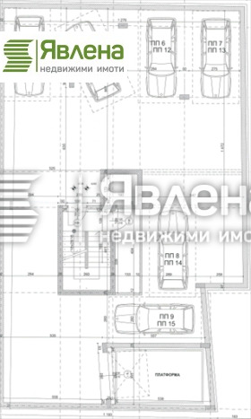 ����� ������� �����,���� �����, ����� �������