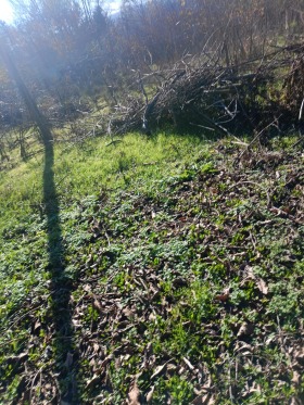 ПАРЦЕЛ, 1 325 m2