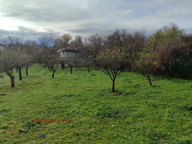 Продава КЪЩА, с. Яздач, област Стара Загора, снимка 10 - Къщи - 52694267