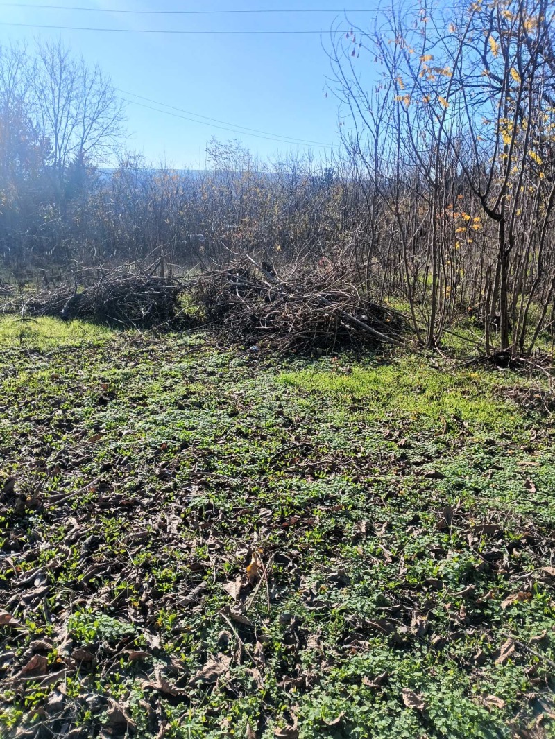 Продава ПАРЦЕЛ, гр. Разград, Промишлена зона - Запад, снимка 2 - Парцели - 52532594