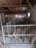 Продава БИЗНЕС ИМОТ, с. Песочница, област Монтана, снимка 4