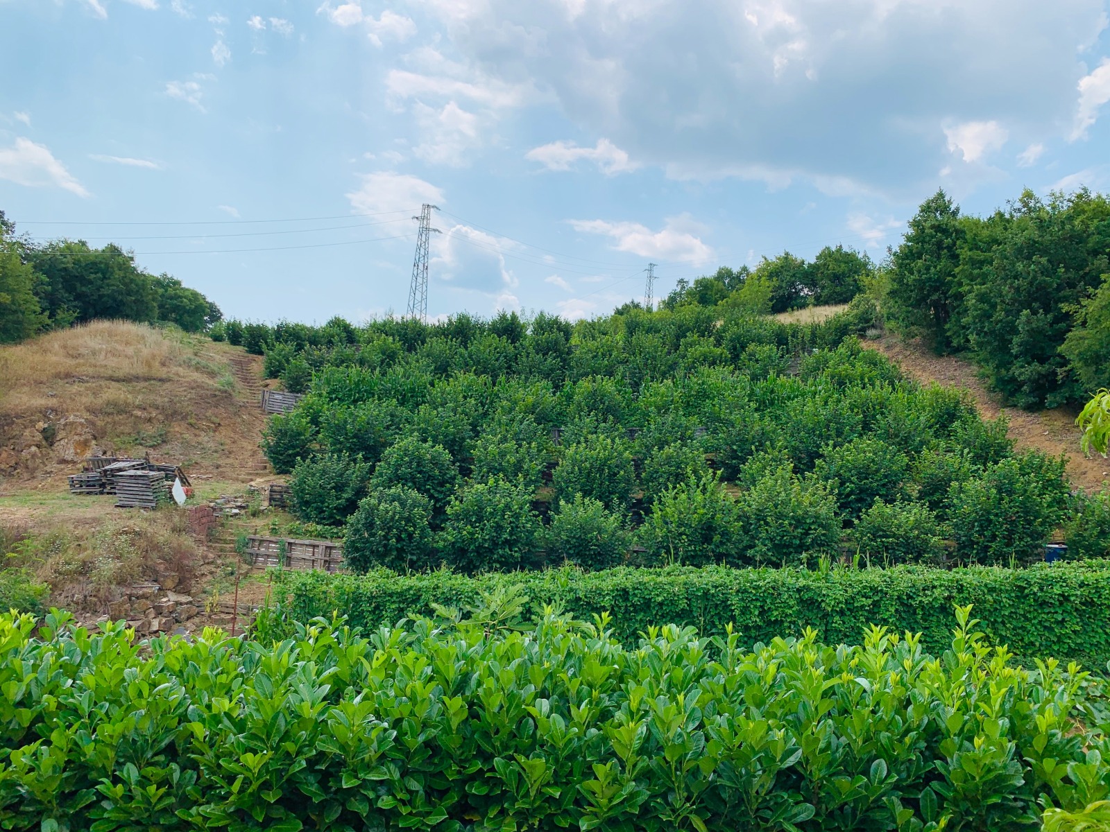 ������� ���� | Imot.bg � ����������� 9