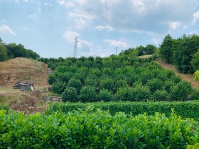 ������� ���� | Imot.bg � ����� ������ 9