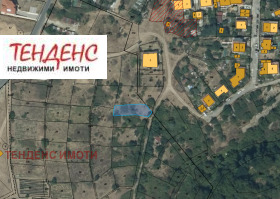 ����� ������� ������,���� ��������, ���������