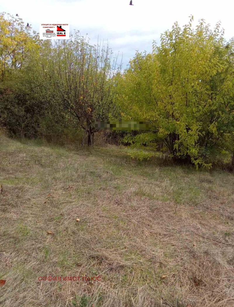 Продава ПАРЦЕЛ, област Кюстендил, с. Слокощица • 42000 € / 82144.86 лв. • 44191314 1