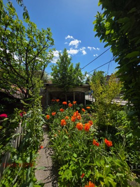 ������� ���� �� ���� | Imot.bg � ����� ������ 17