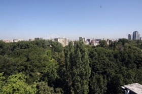 ����� ������� 4-�����,���� �����, �������