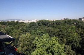 ����� ������� 4-�����,���� �����, �������