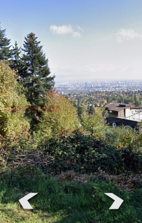 ����� ������� ������,���� �����, ����������