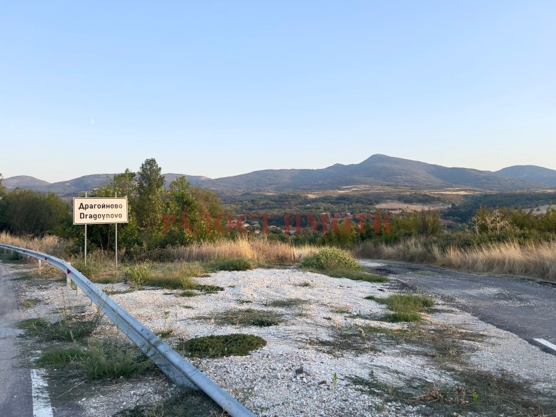 Na sprzedaż  Działka region Płowdiw , Dragojnowo , 630 mkw | 31284069 - obraz [11]