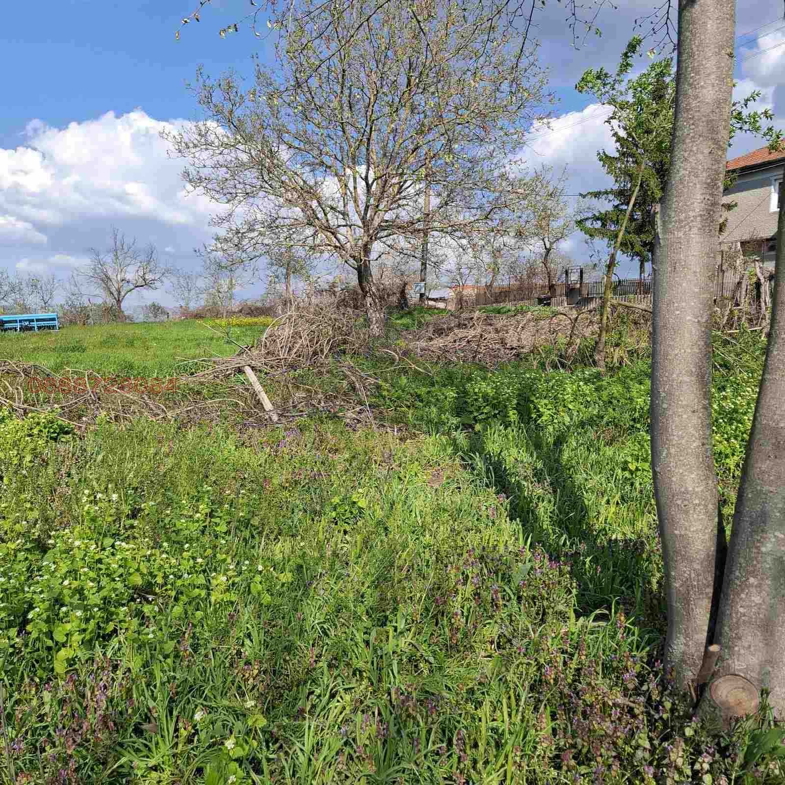 Продава ПАРЦЕЛ, с. Гроздьово, област Варна, снимка 4 - Парцели - 55008152