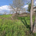 Продава  Парцел област Варна , с. Гроздьово , 1300 кв.м | 78385236 - изображение [4]