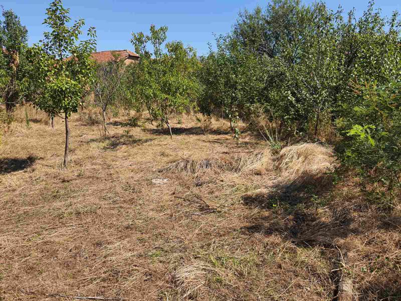 ������� ���� | Imot.bg � ����������� 11